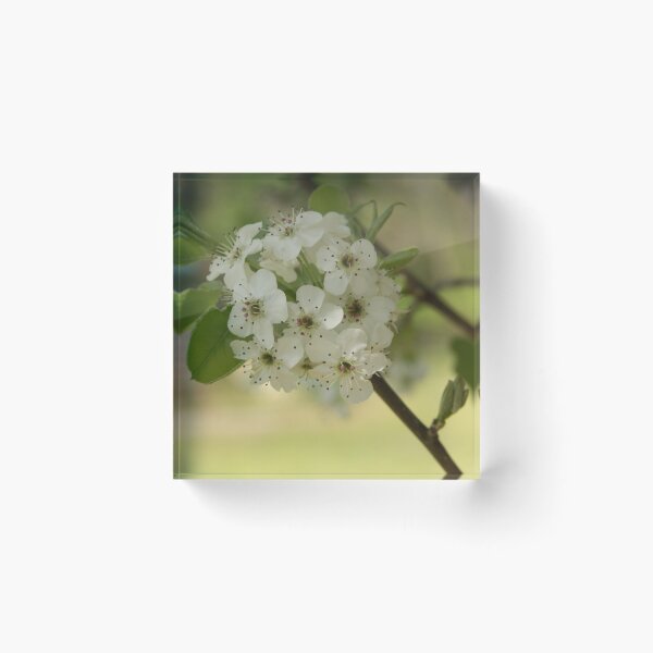 Item preview, Pear Bouquet designed and sold by Bob Hardy.