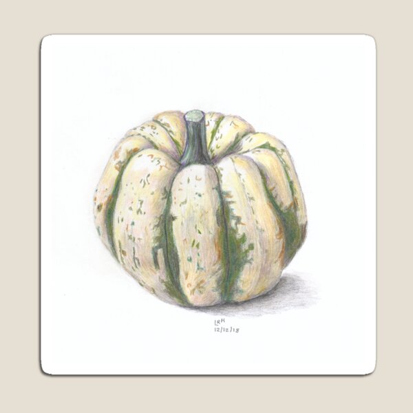 Sweet Dumpling Squash Magnet