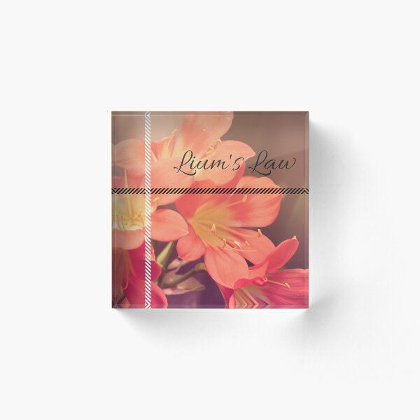 Lium's Law (Amser Studios) Acrylic Block