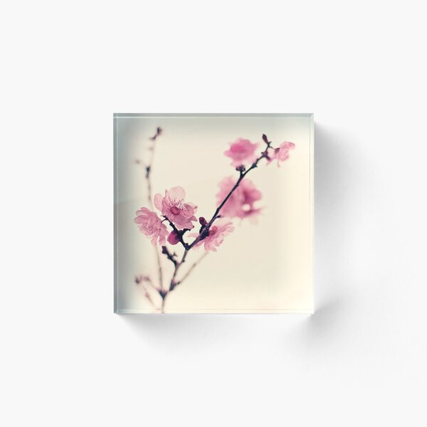 Item preview, blossom designed and sold by etoile.