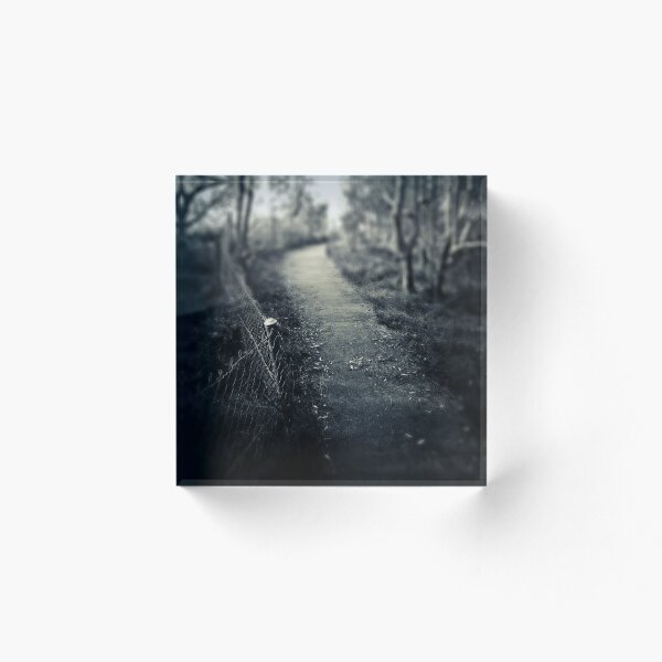 Item preview, Path Details designed and sold by Cain  Pascoe.