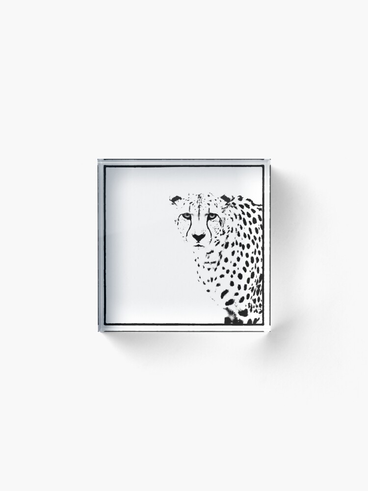 Alternate view of Cheetah Acrylic Block