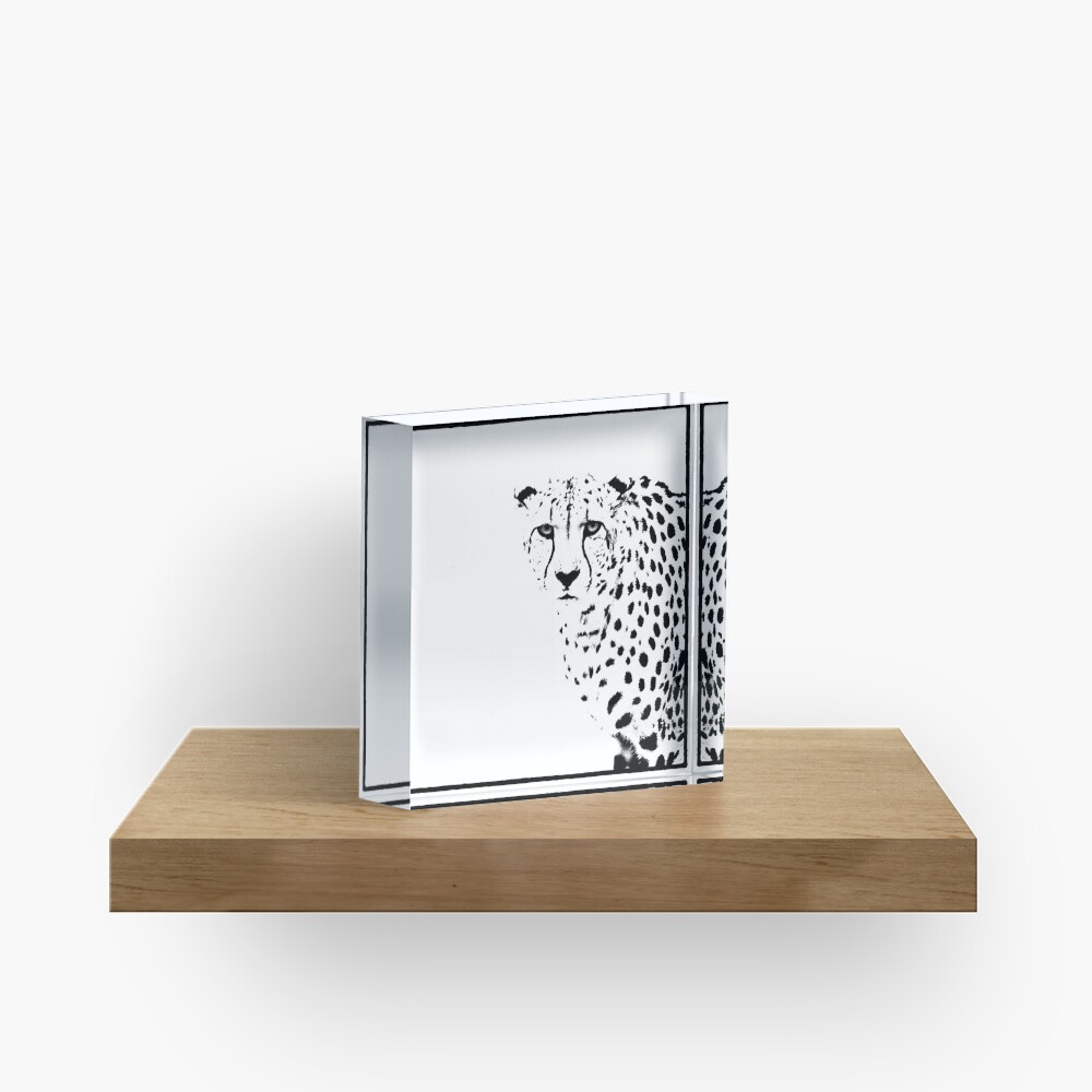 Cheetah Acrylic Block