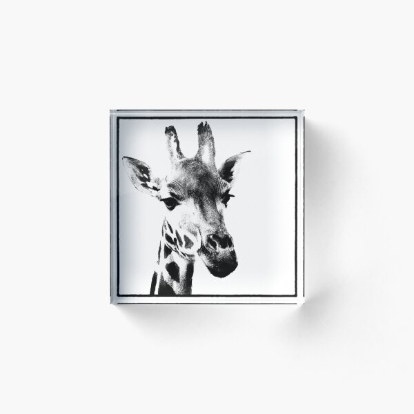 Gentle Giraffe Acrylic Block