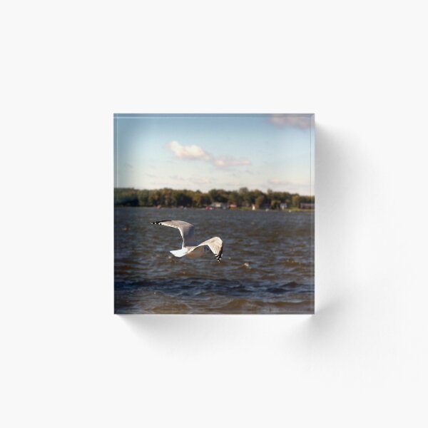 Item preview, Aloft The Sea designed and sold by MH-Illustration.