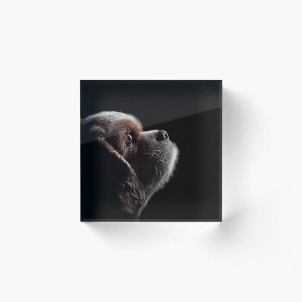 Pet Profile Acrylic Block