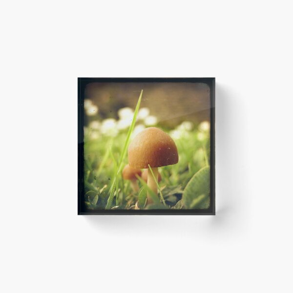 Item preview, My Little Mushy designed and sold by Marc Loret.