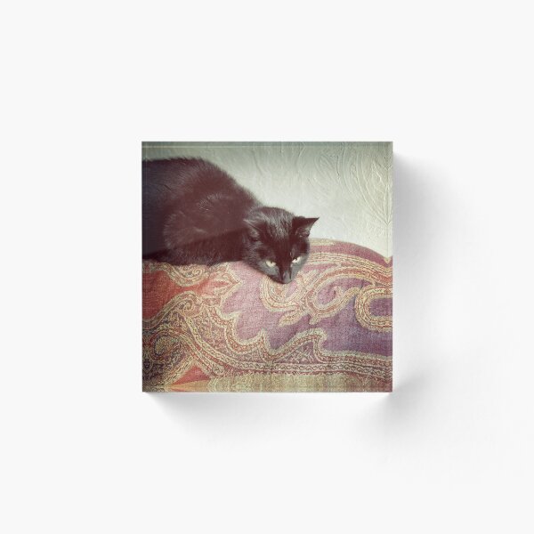 Item preview, Black cat  designed and sold by Louise LeGresley.