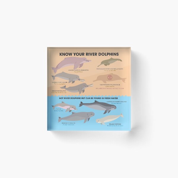 Item preview, Know Your River Dolphins designed and sold by Peppermint Narwhal.