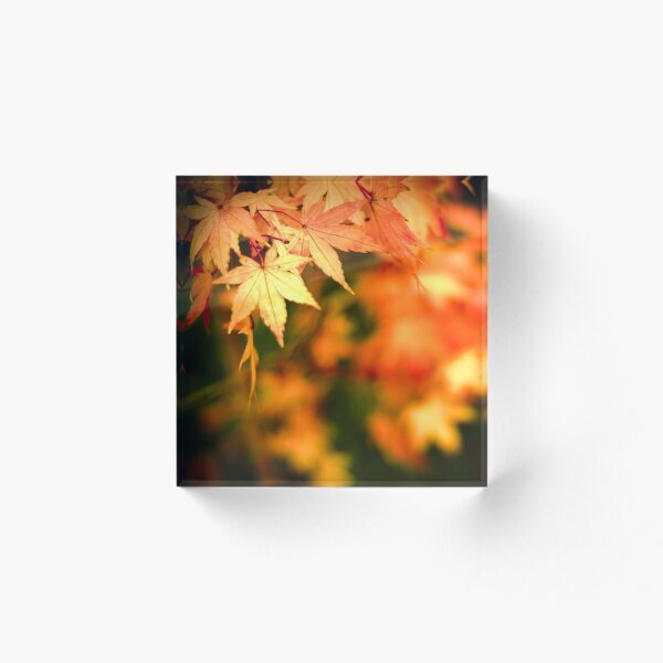 Item preview, ...autumn splash... designed and sold by Geoffrey Dunn.