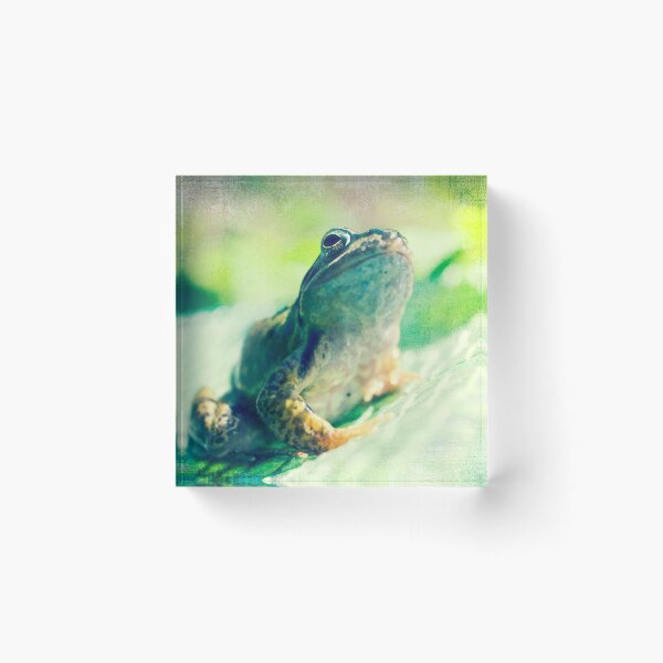 Item preview, Ribbit designed and sold by Claire Penn.
