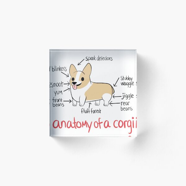 Anatomy of a Corgi Acrylic Block