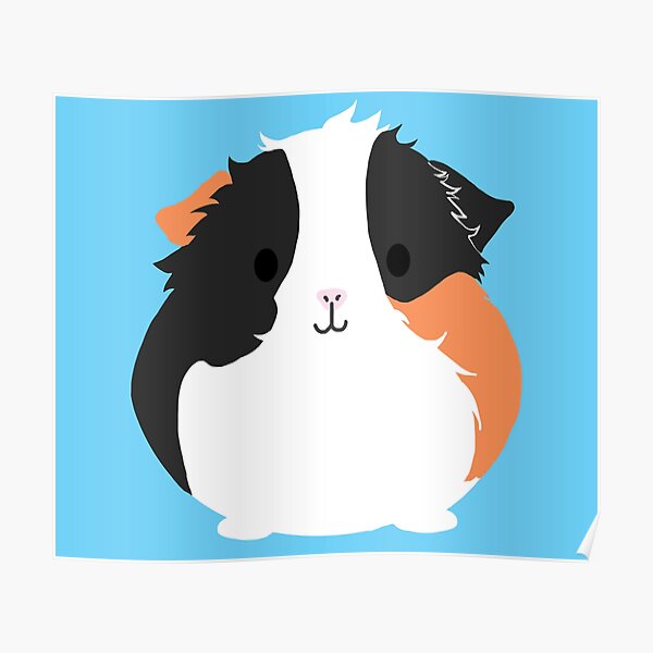 Apollo the Guinea Pig Poster