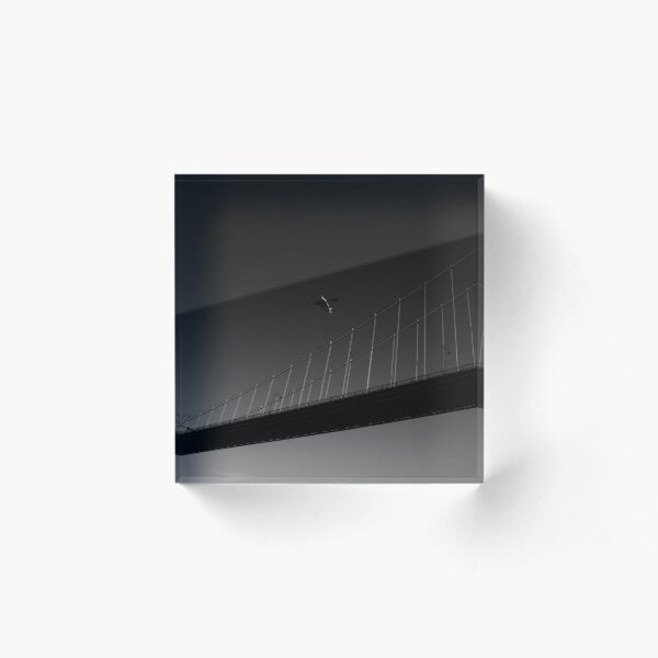 Icarus Acrylic Block