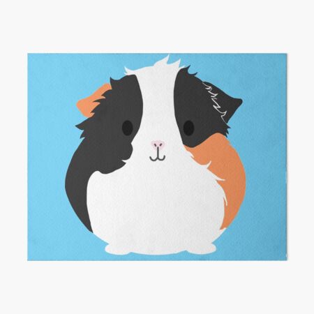 Guinea Pig Wall Art Redbubble