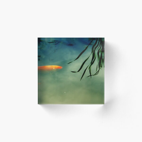 illusion Acrylic Block
