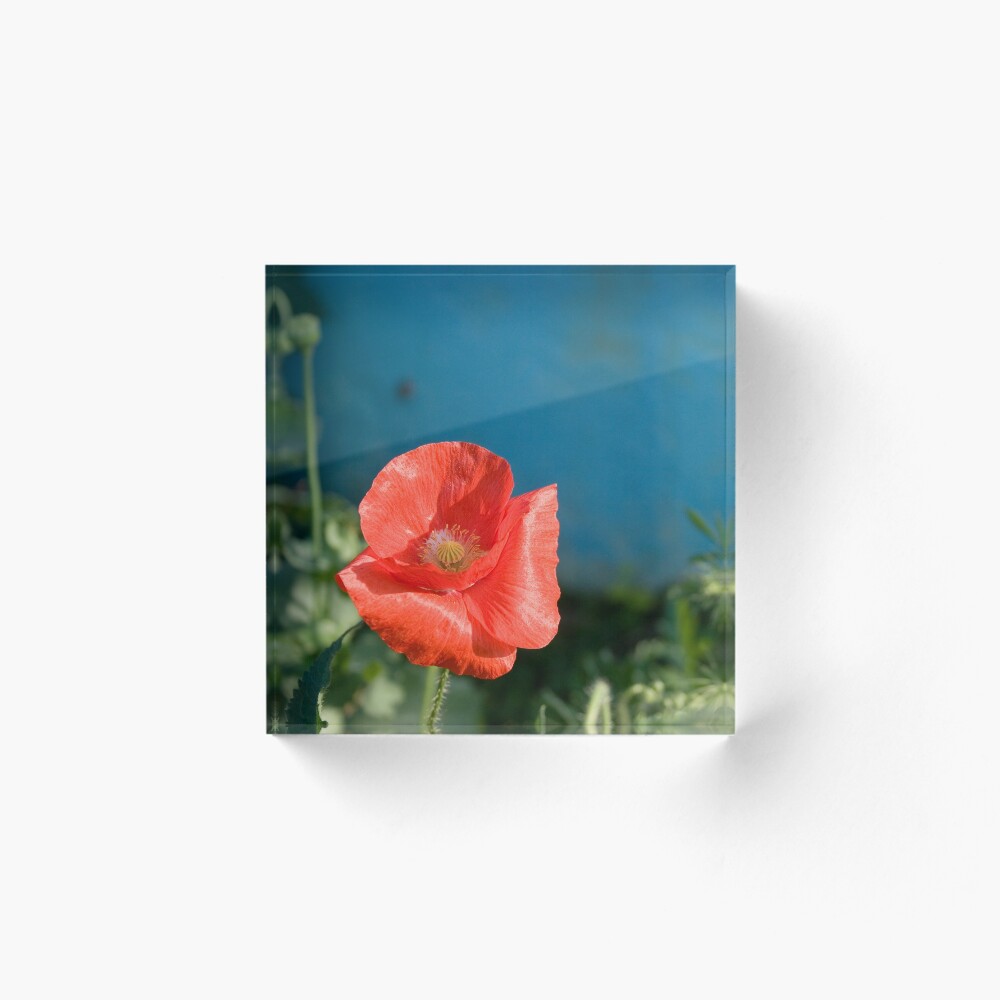 Item preview, Acrylic Block designed and sold by hellsbell.