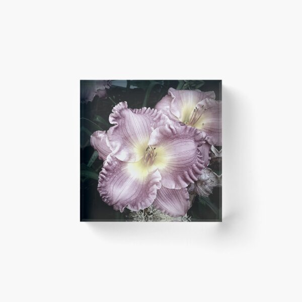 Artikelvorschau, Pink Lilies entworfen und verkauft von Colleen Drew.