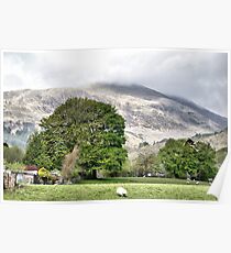 Scotch landscape Poster