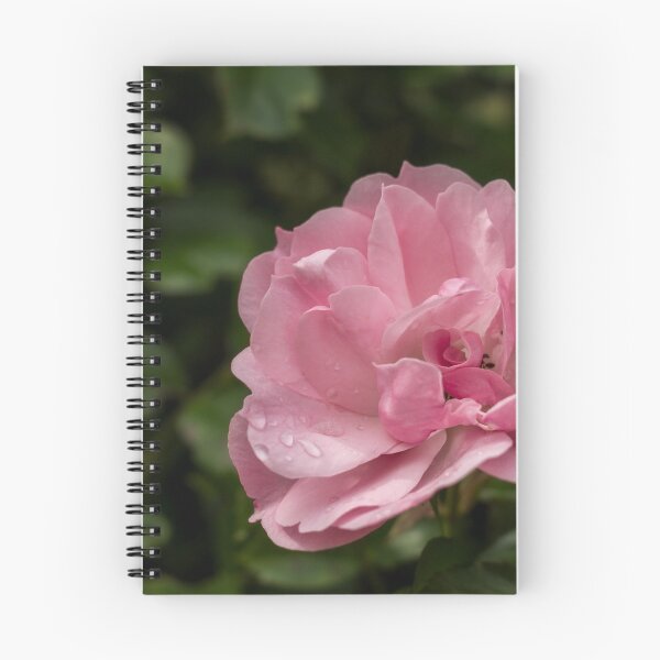 Item preview, Pink Wild Rose designed and sold by Lucy Davey.