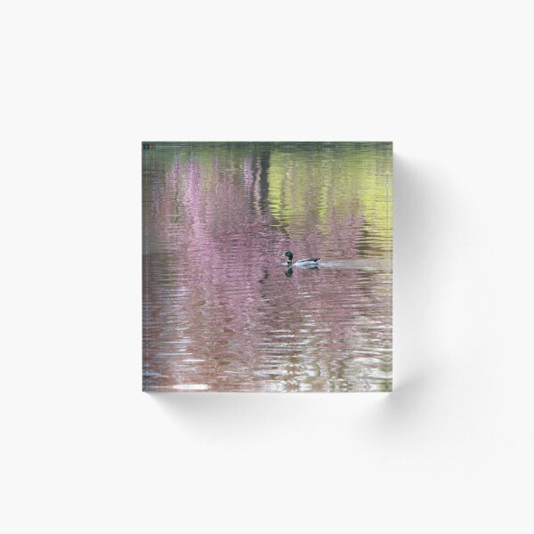 Item preview, Into the Pink designed and sold by KUJO-Photo.