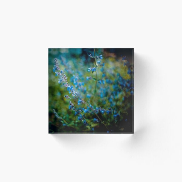 Item preview, Beauty is the entropy of a starlit sky designed and sold by Amber Gregory.