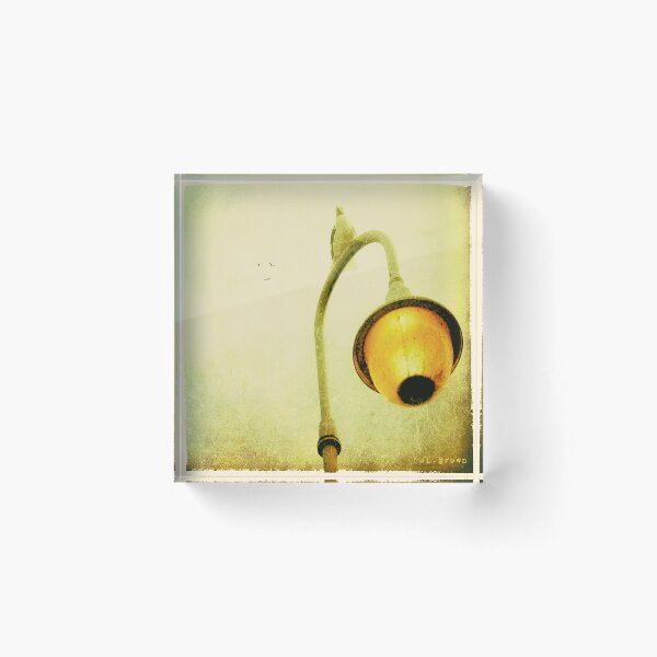 Item preview, Volaré lejos designed and sold by James L. Brown.