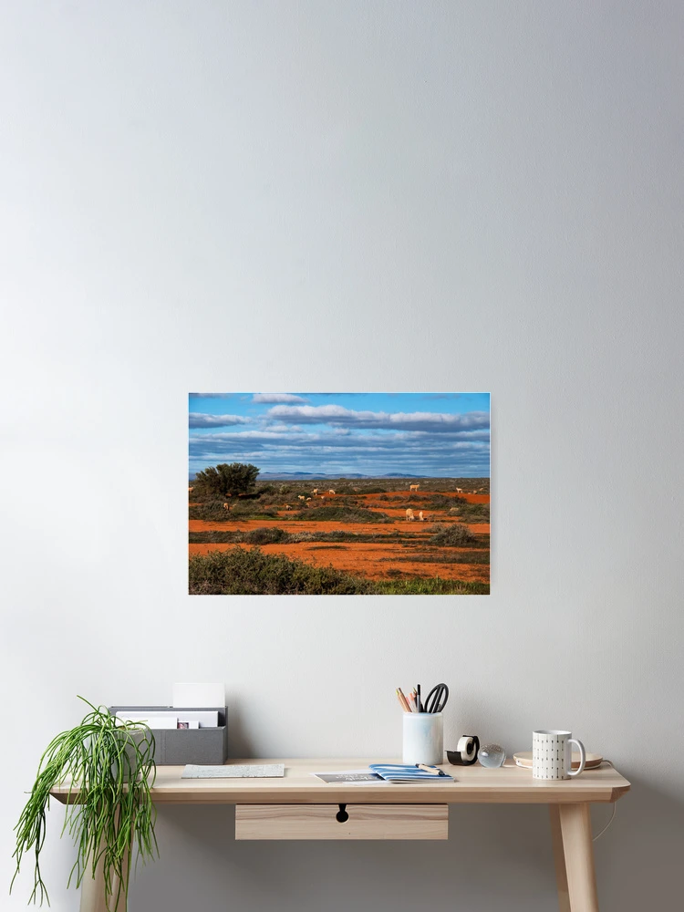 Thumbnail 2 of 3, Poster, The Flinders Ranges designed and sold by Jessy Willemse.