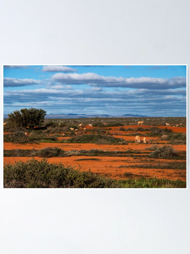 Thumbnail 1 of 3, Poster, The Flinders Ranges designed and sold by Jessy Willemse.