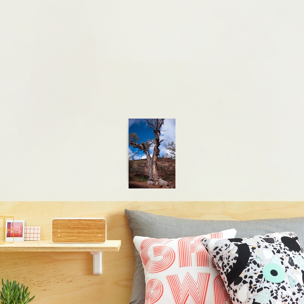 Item preview, Photographic Print designed and sold by jasmijntje.
