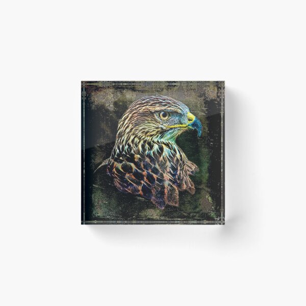 Item preview, Harry Hawks Headshot designed and sold by Chris Lord's Pixielated Pixels.