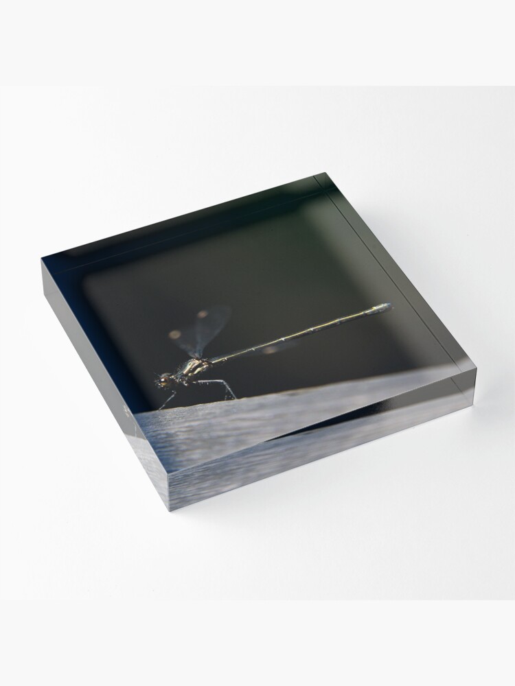Alternate view of Dragonfly Acrylic Block