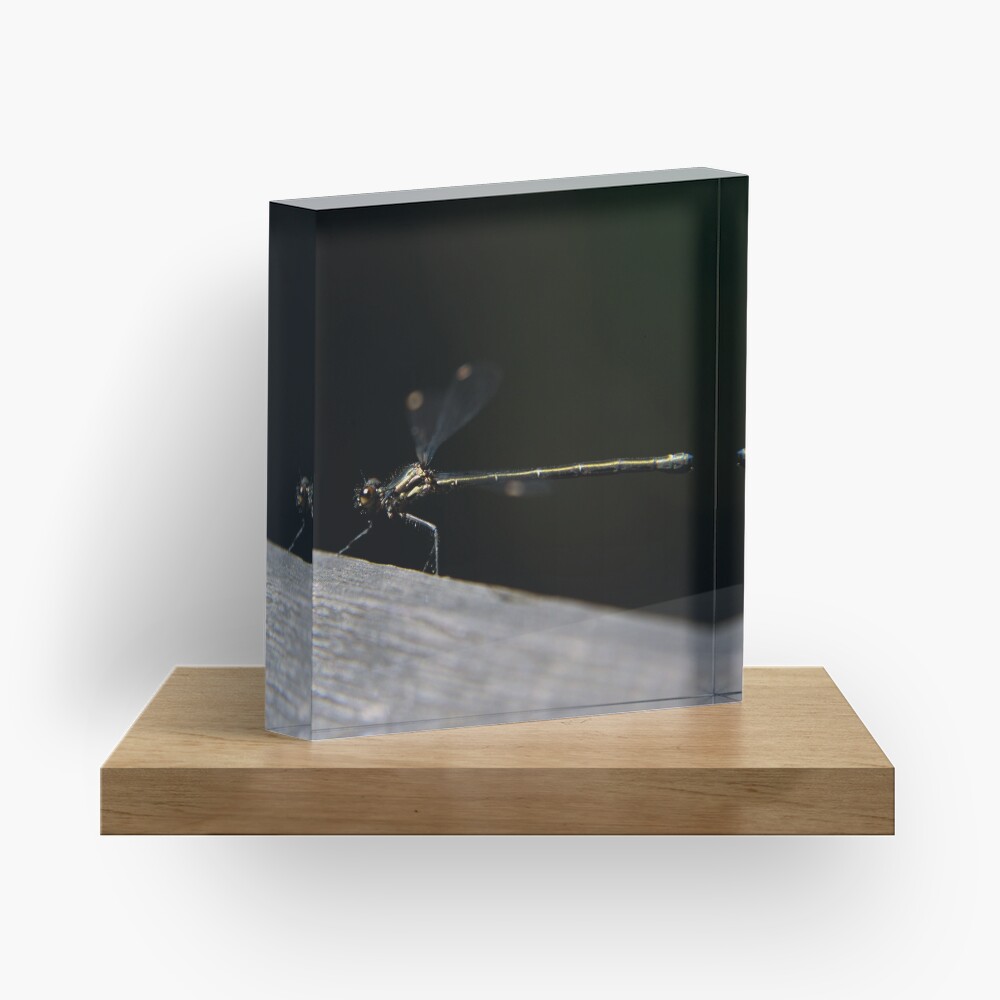 Dragonfly Acrylic Block