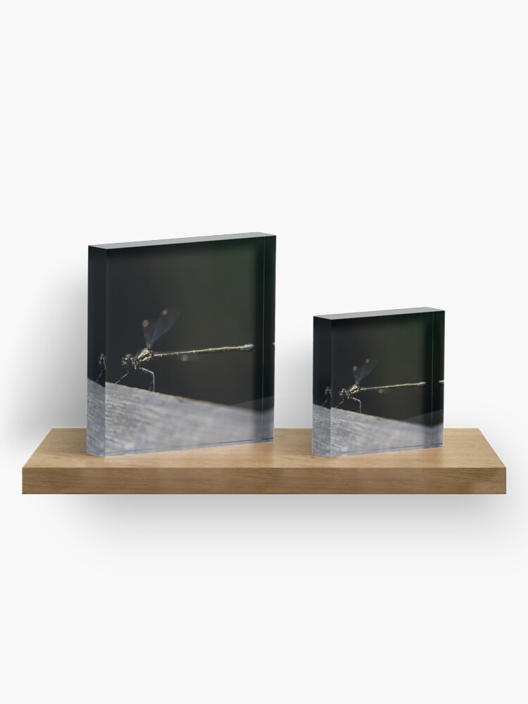 Alternate view of Dragonfly Acrylic Block