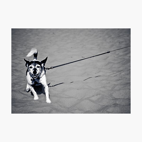 ...walkies... Photographic Print