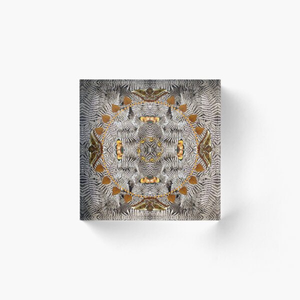 Bracken & Bugs - Kaleidoscope Acrylic Block
