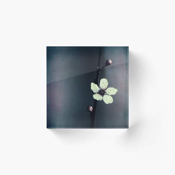 Item preview, cherry blossom flower designed and sold by Ingrid Beddoes Photography.
