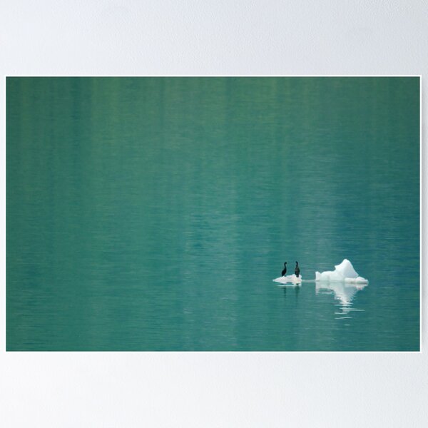 Item preview, Cormorants on Berg designed and sold by Tracy Riddell.