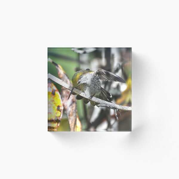 Item preview, Natural Beauty designed and sold by Carl Olsen.