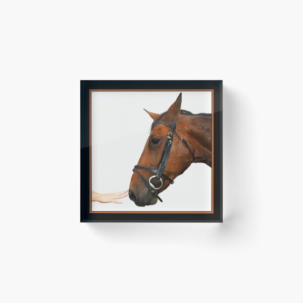 Item preview, Stay.... designed and sold by Simon Fallon.