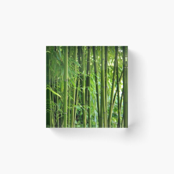 Item preview, Bamboo designed and sold by Gabi Siebenhühner.