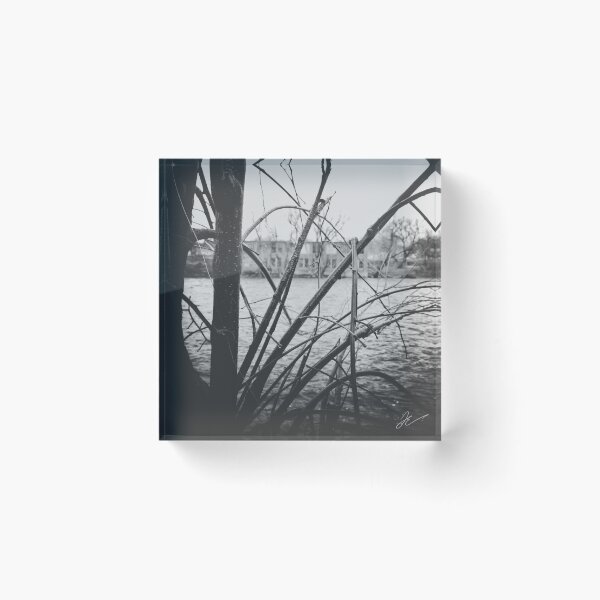 Artikelvorschau, broken branch entworfen und verkauft von JEPhotographs.