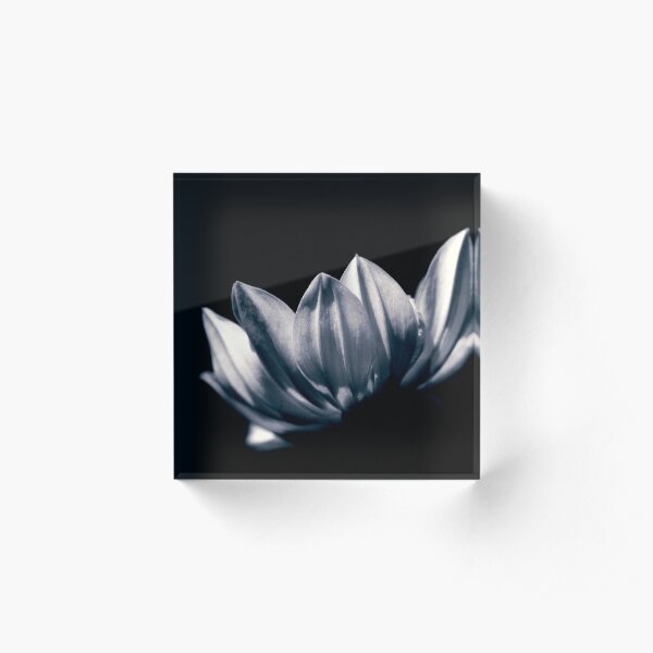 moonlight Acrylic Block