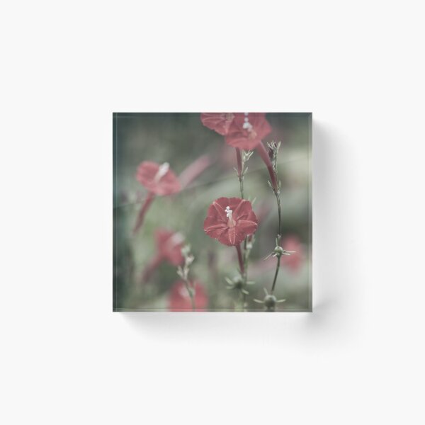 Item preview, Priceless designed and sold by lifeinfineart.