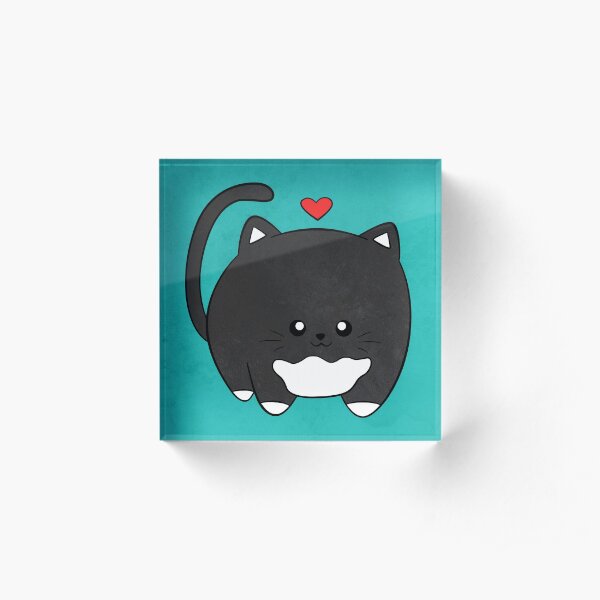 Acrylic Block
