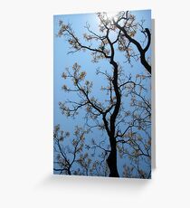 Towards The Light Greeting Card