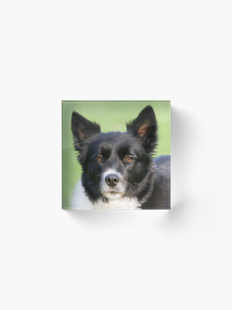 Alternate view of Portrait of Tammy Acrylic Block