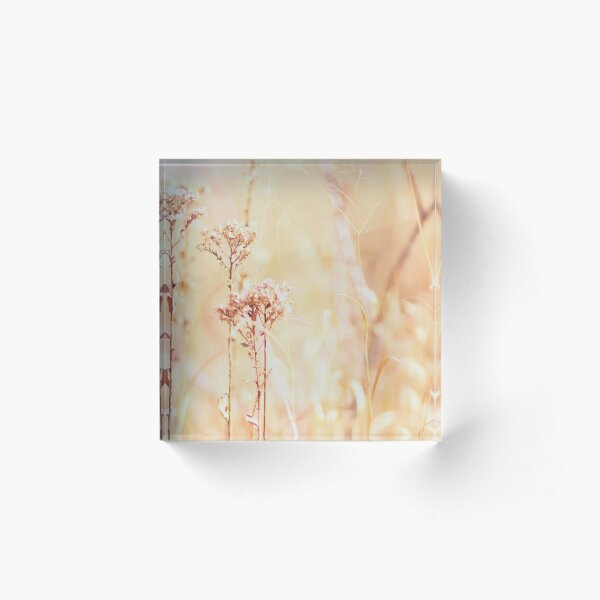 Item preview, Day dream designed and sold by Softly.