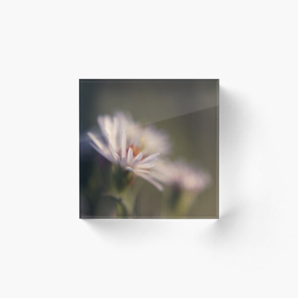 innocence 02 Acrylic Block