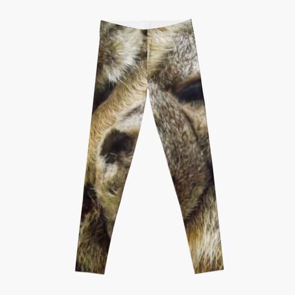 Pile of Baby Meerkats Sleeping Leggings